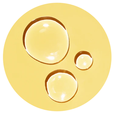 Ceramides + Panthenol (Pro-Vitamin B5)